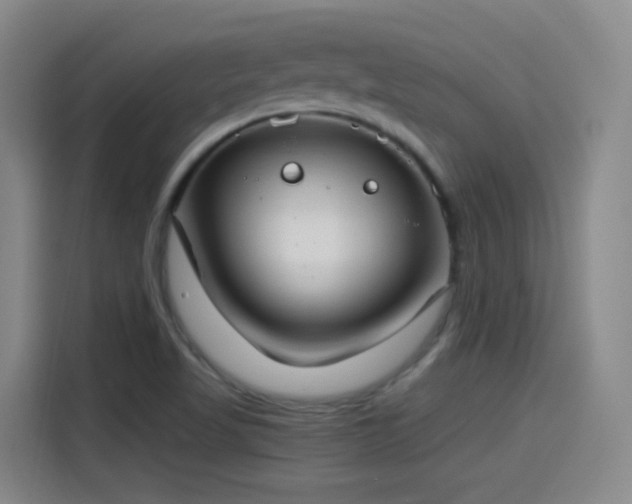 X0000115281509200911061317