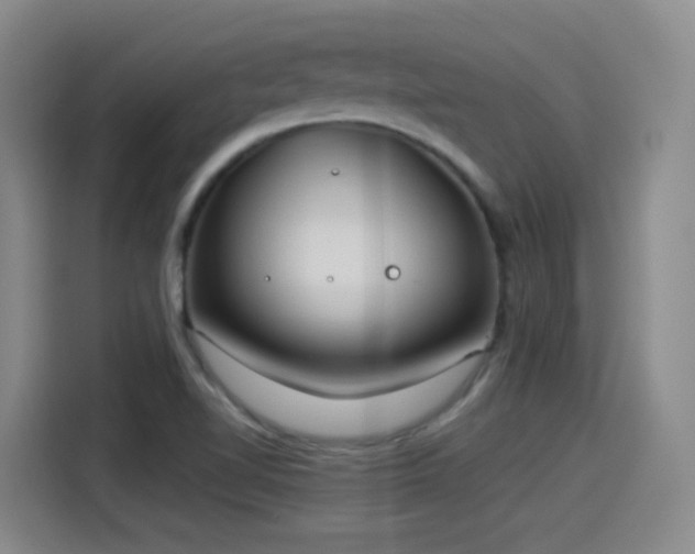 X0000115281510200911061317