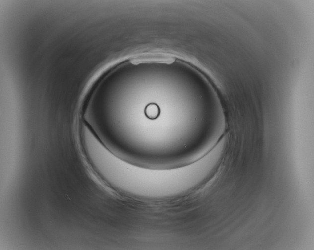 X0000115281511200911061317