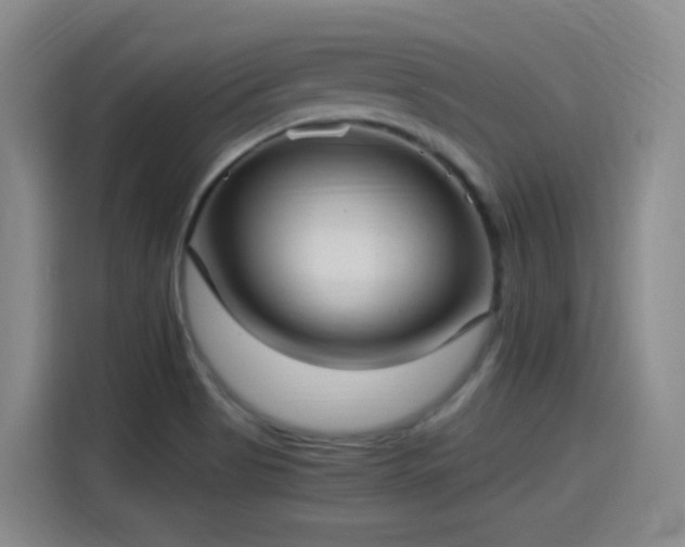 X0000115281513200911061317