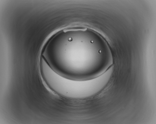 X0000115281515200911061317