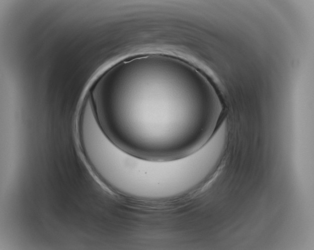 X0000115281517200911061317