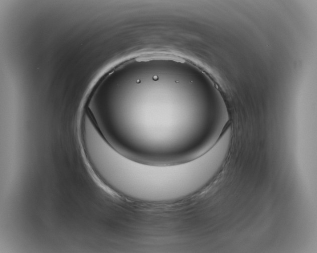 X0000115281519200911061317