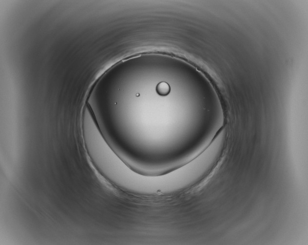 X0000115281521200911061317