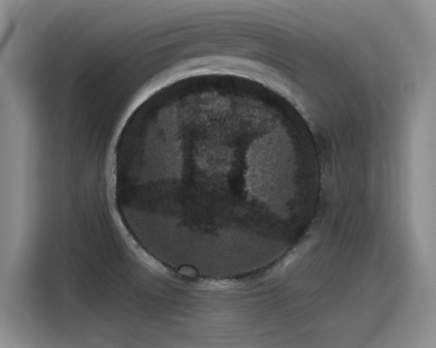 X0000115281522200911061317