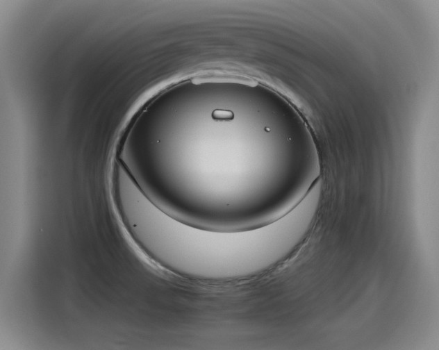X0000115281523200911061317