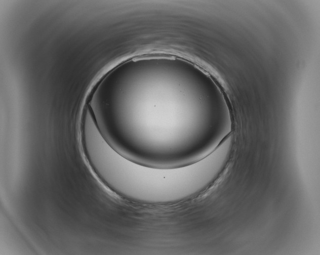 X0000115281525200911061317