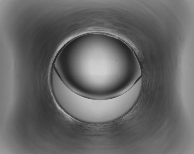 X0000115281527200911061317
