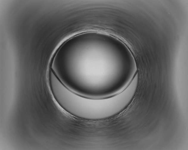 X0000115281531200911061318