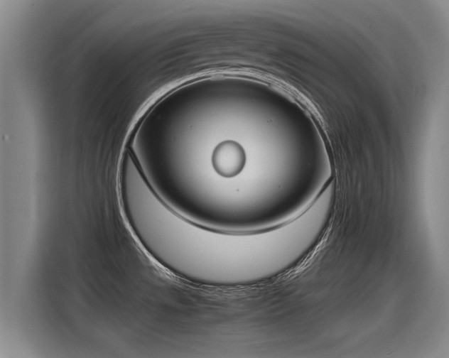 X0000115281533200911061318