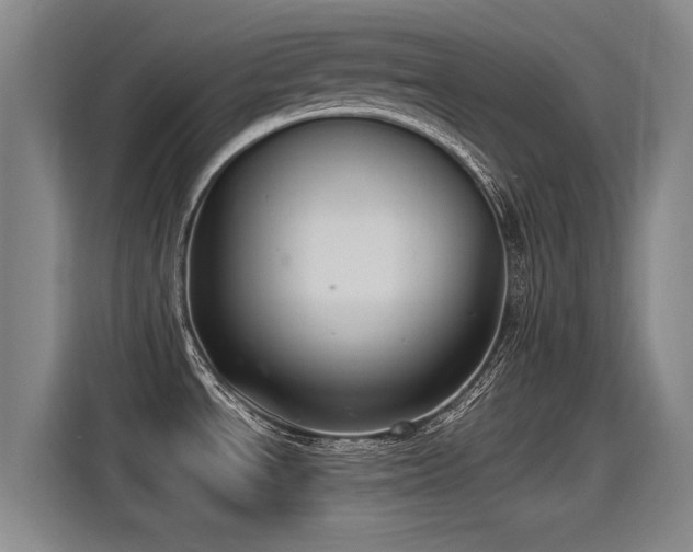 X0000115281534200911061318