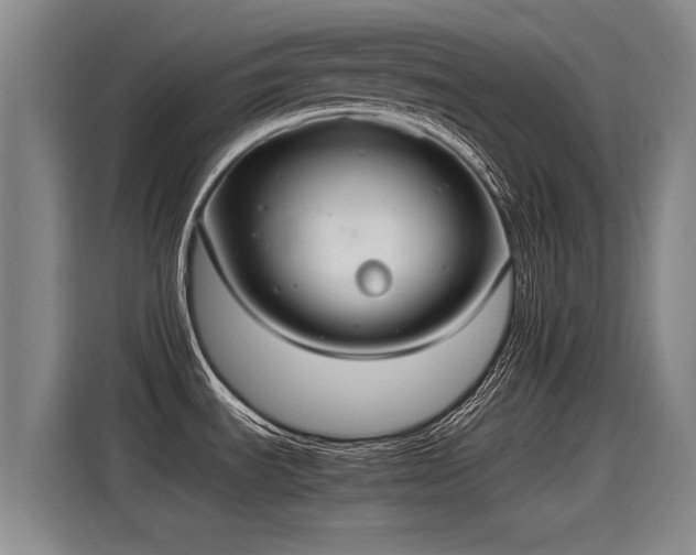 X0000115281535200911061318