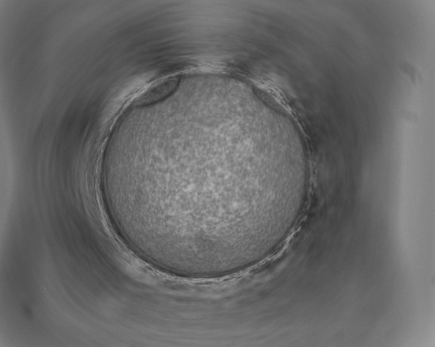 X0000115280001200911131839