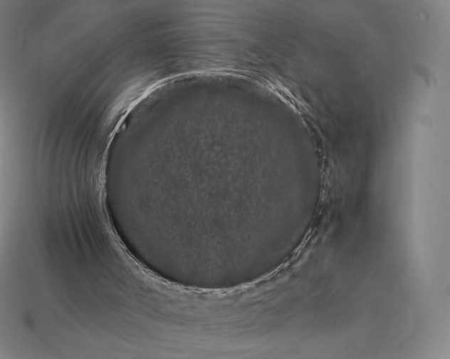 X0000115280002200911131839