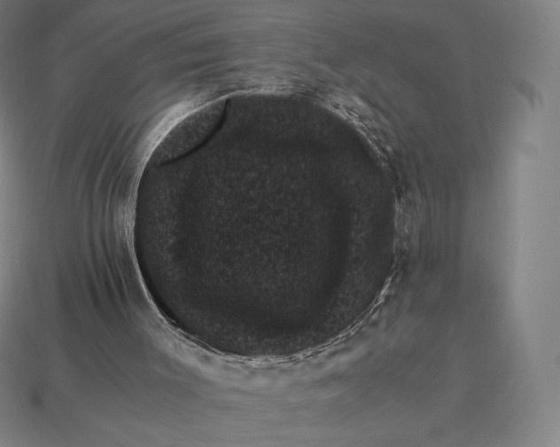 X0000115280003200911131839