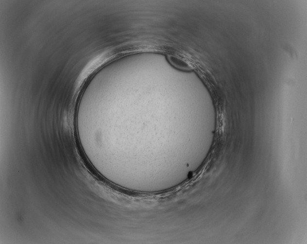 X0000115280004200911131839