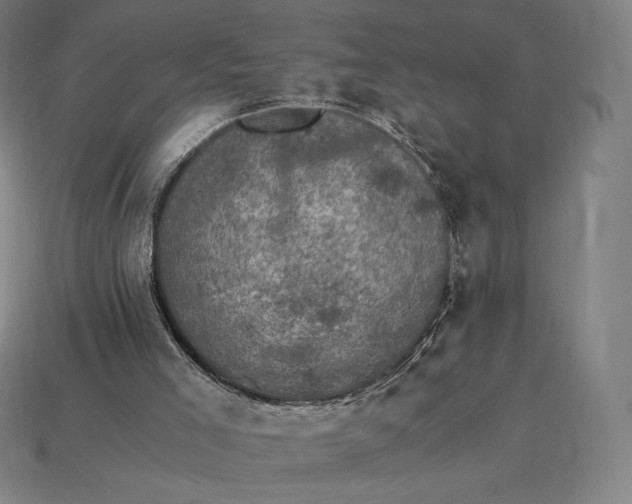 X0000115280005200911131839