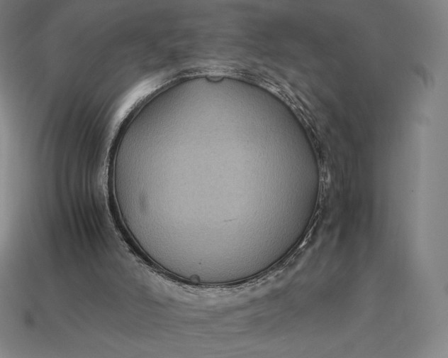 X0000115280006200911131839