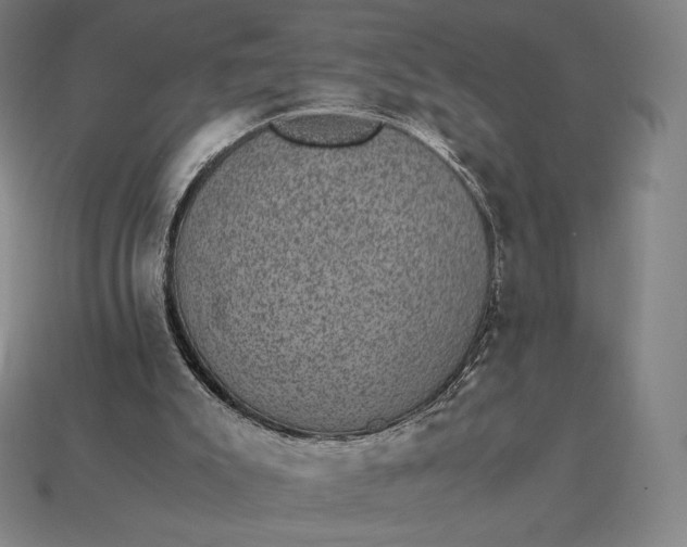 X0000115280007200911131839