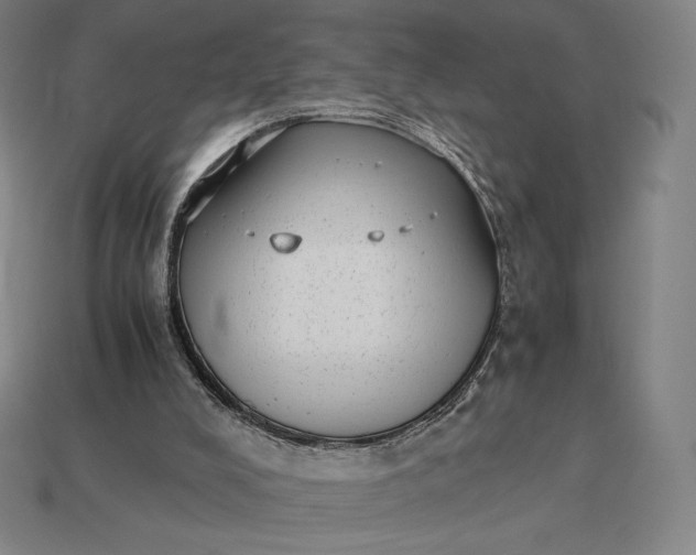 X0000115280008200911131839