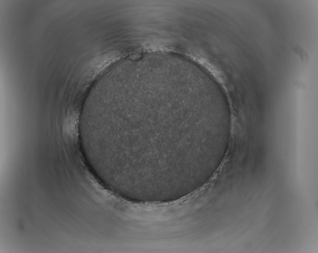 X0000115280009200911131839