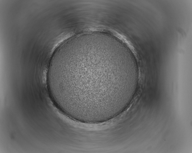 X0000115280010200911131838