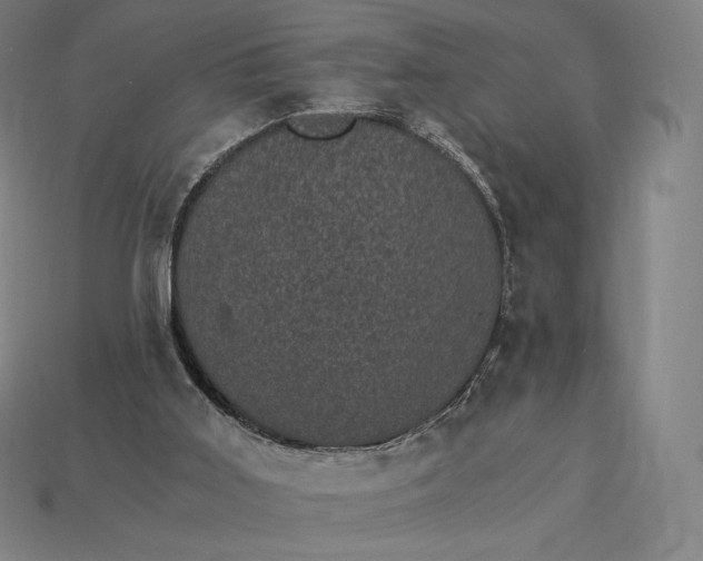 X0000115280011200911131838