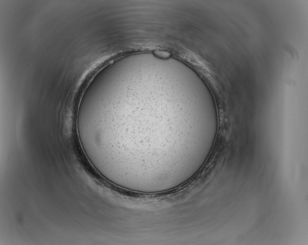 X0000115280012200911131838