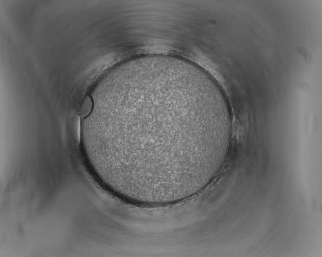 X0000115280013200911131838