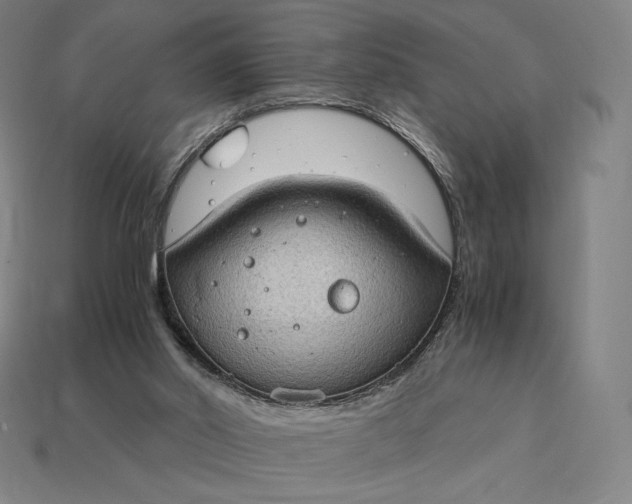 X0000115280014200911131838