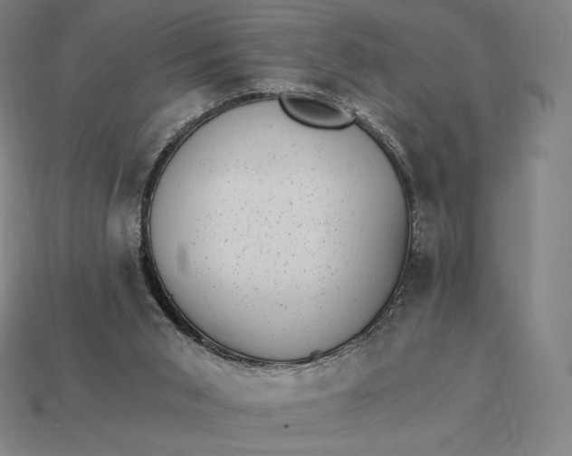 X0000115280015200911131838