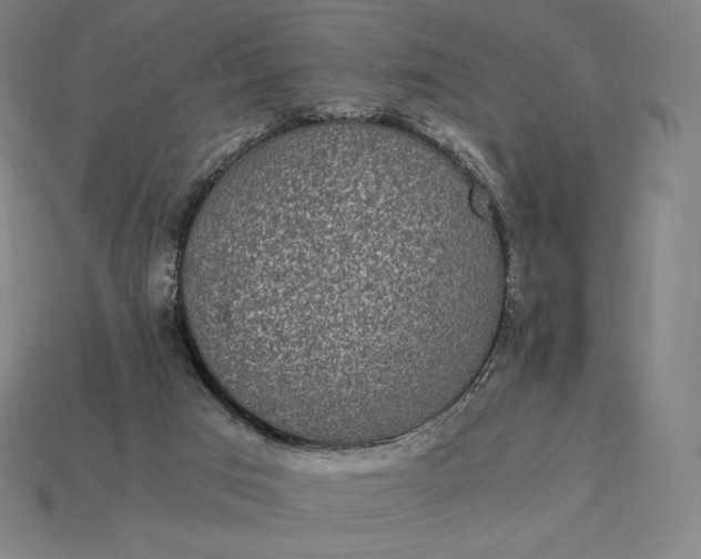 X0000115280017200911131838