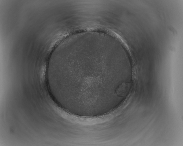 X0000115280018200911131838