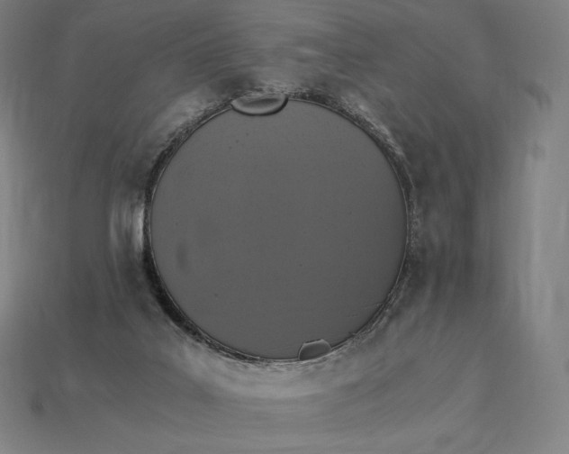 X0000115280019200911131838