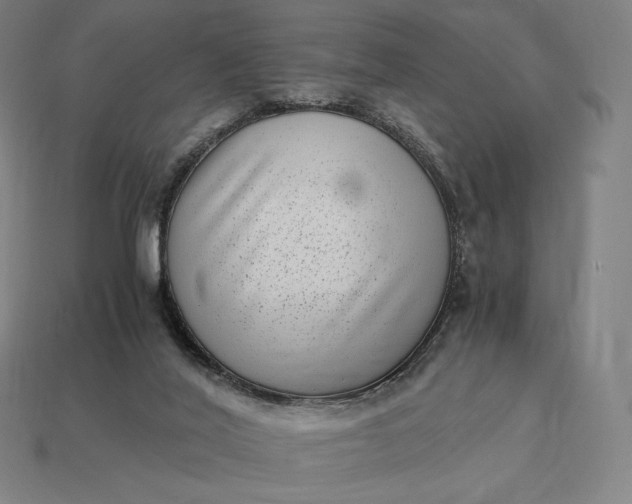 X0000115280020200911131838