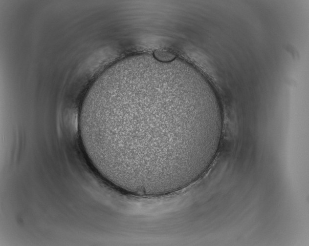 X0000115280021200911131838