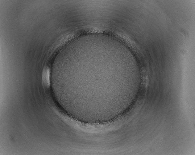 X0000115280022200911131838