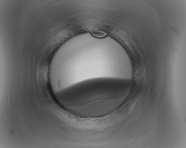 X0000115280023200911131838