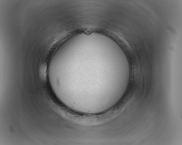 X0000115280024200911131838