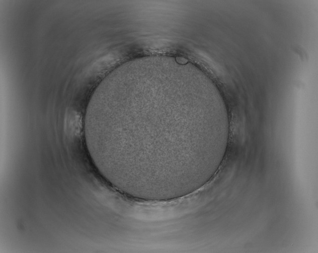 X0000115280025200911131838