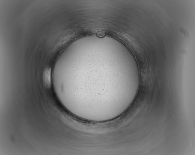 X0000115280028200911131838