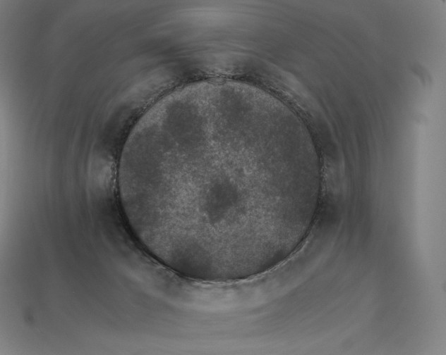 X0000115280029200911131838