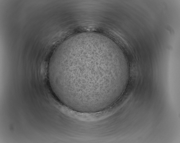 X0000115280030200911131838