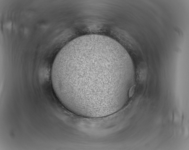 X0000115280033200911131838