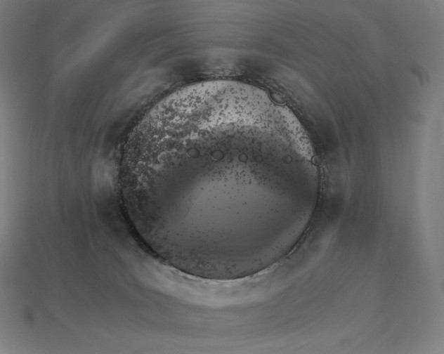 X0000115280035200911131838