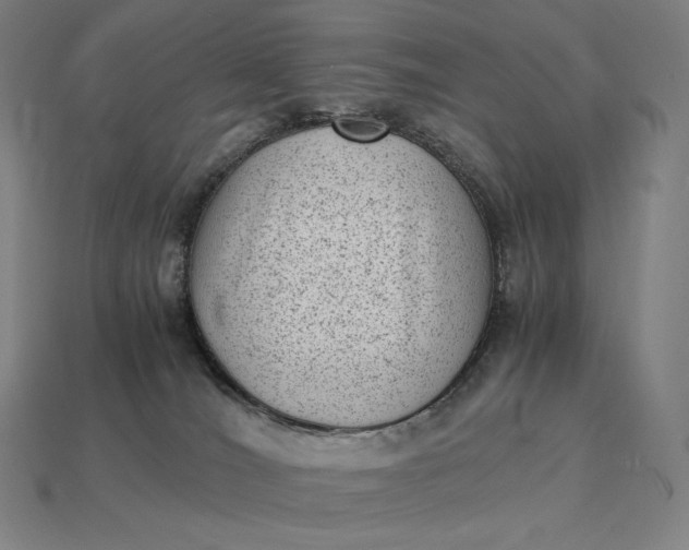 X0000115280036200911131838