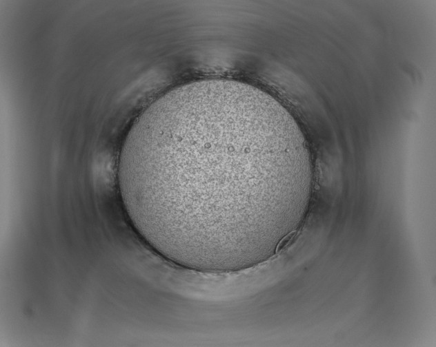 X0000115280037200911131838