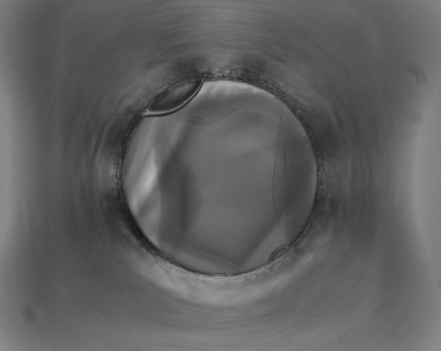 X0000115280039200911131838