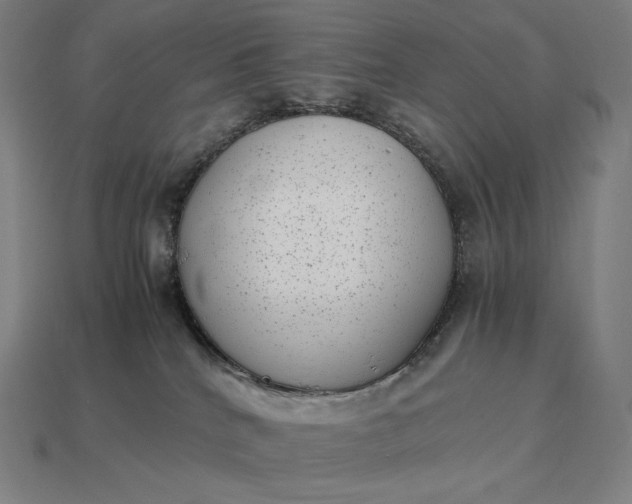 X0000115280040200911131838