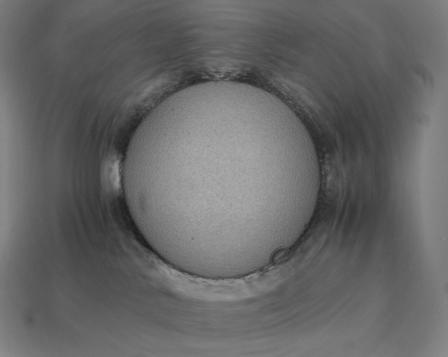 X0000115280042200911131838